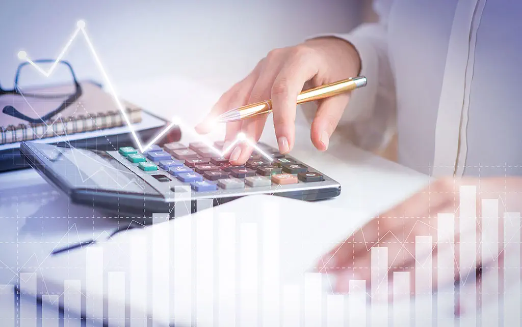 Professional Accounting Services Dubai